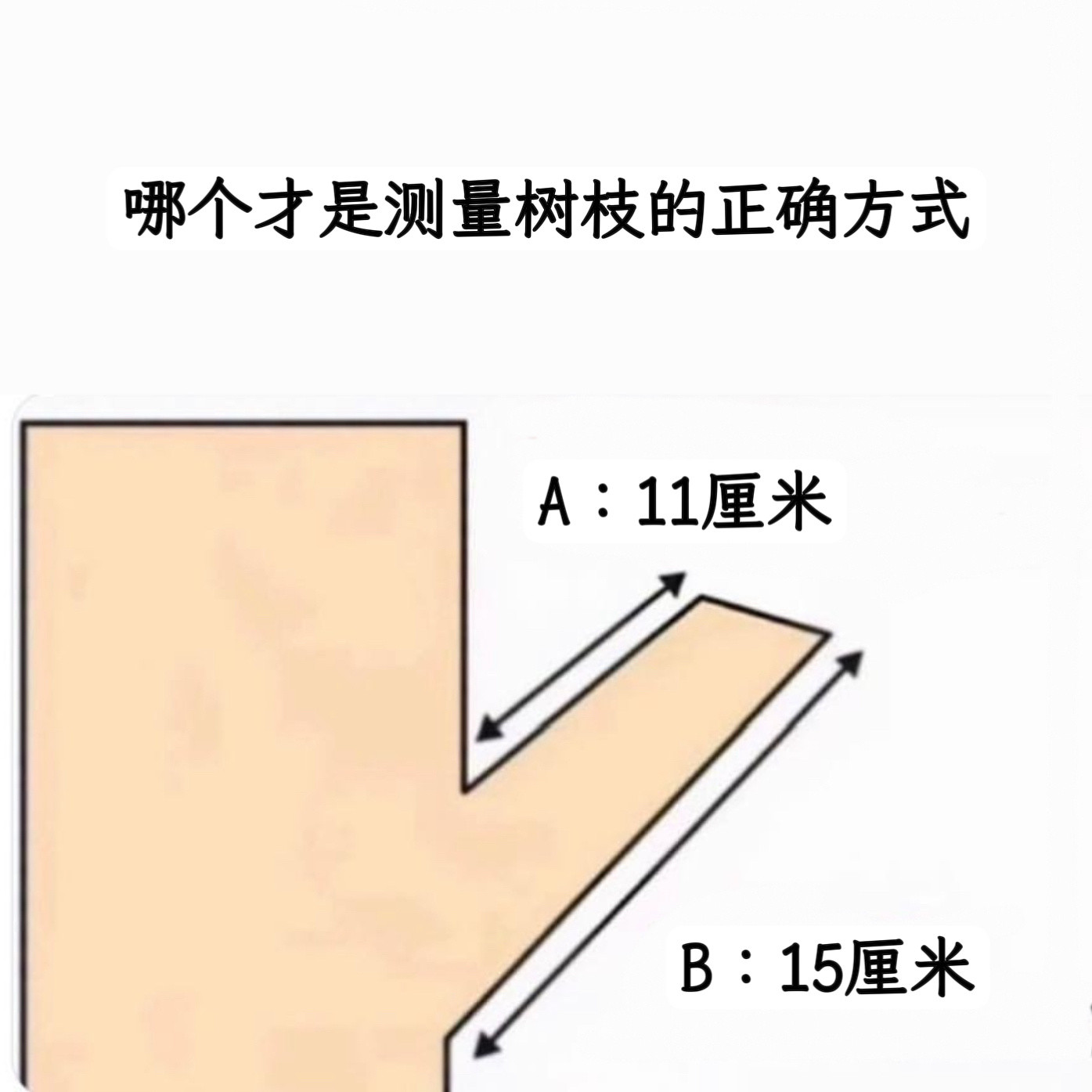 取长memes​​​