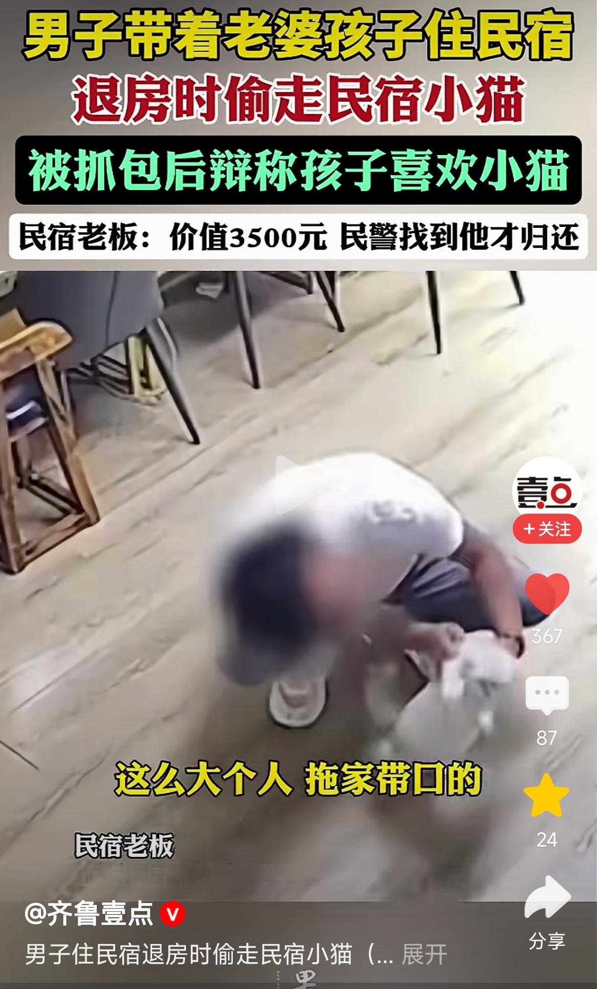 “太丢人了！”近日，男子携妻儿入住民宿，退房时将老板3500元的猫悄悄藏入袋中盗