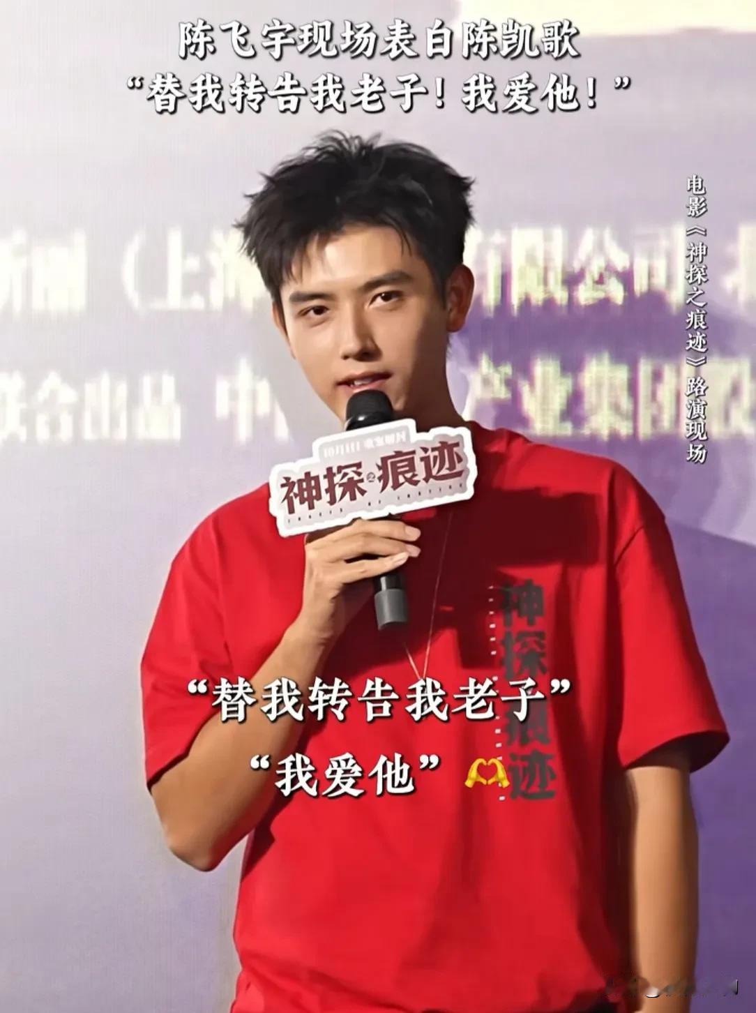 《神探之痕迹》路演，马丽说不敢看陈飞宇演的角色，就说他可定爆了。陈红看完，直言几