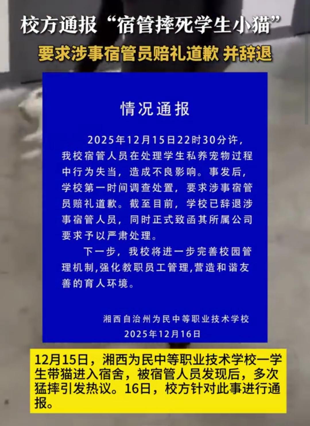 教官的做法是极端，但这名同学真的爱猫吗？这猫跟了他也是倒八辈子霉了！12月1