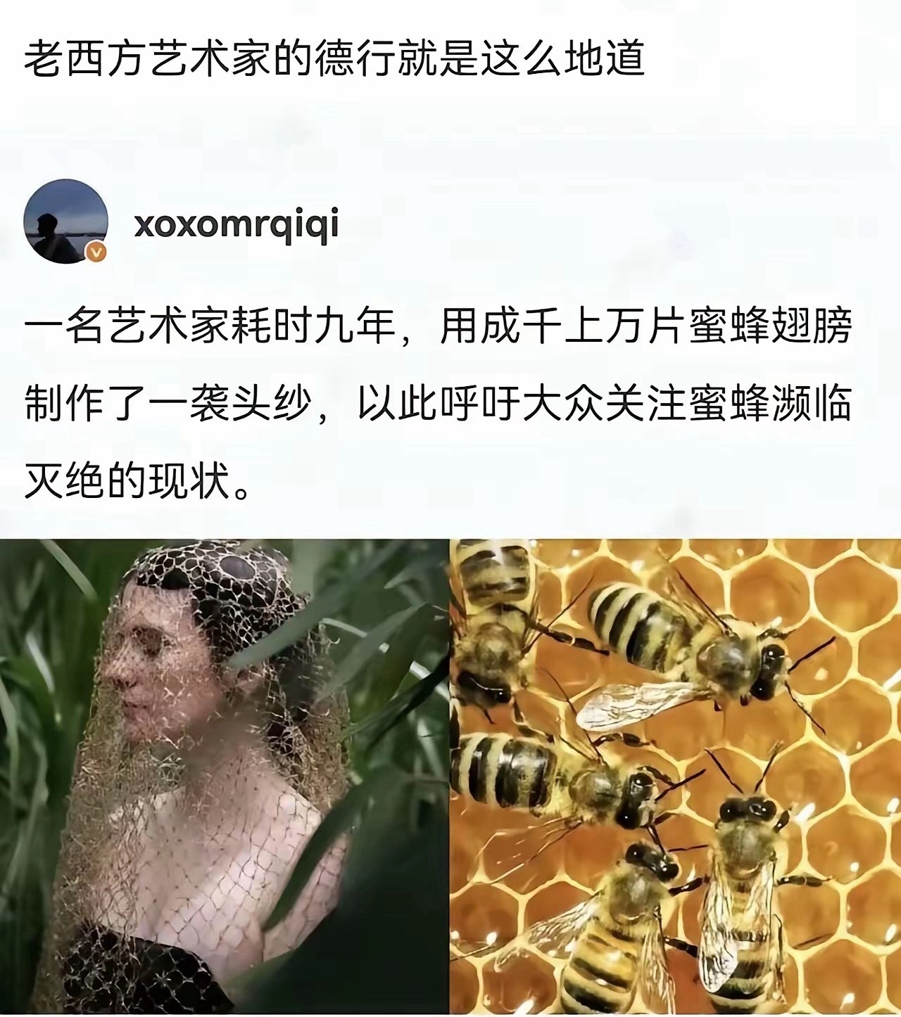 哈哈哈哈动保艺术家动保笑话