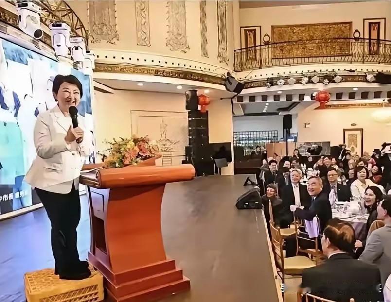 卢秀燕一个发表演讲都要找来东西垫上一截的人，她还代表美丽岛向美方说明需求、看法，
