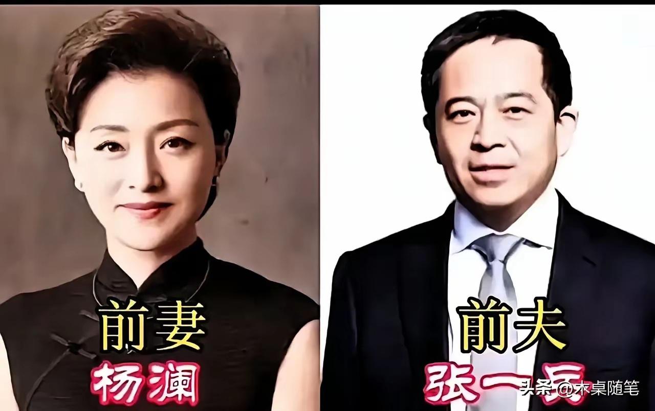 王铎：杨澜和前夫张一兵