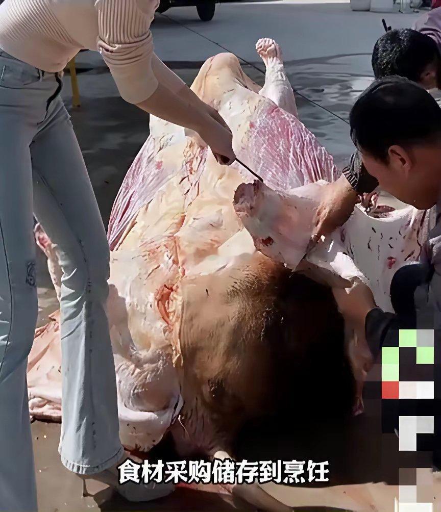 监狱也有清真餐，专门的厨师做饭我以前真不知道这事，今天看视频才知