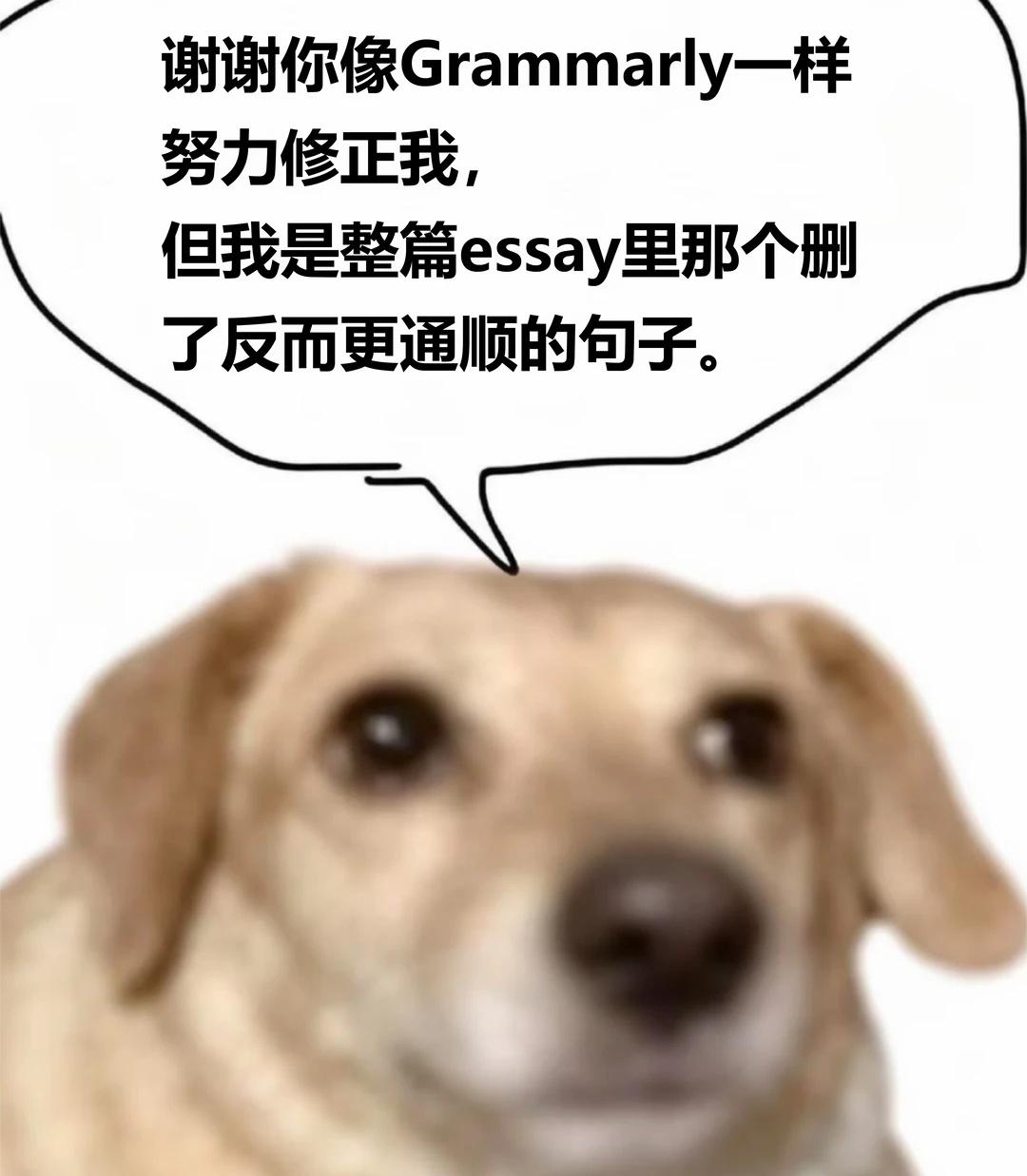 谢谢你但是我🥲（留学生版如果你能懂我莫名其妙的笑点我会对你说谢谢！mem