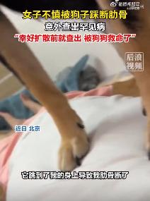 7月22日报道，北京一只80斤的纯种德国牧羊犬，突然跳主人身上，沉重的身躯瞬间压
