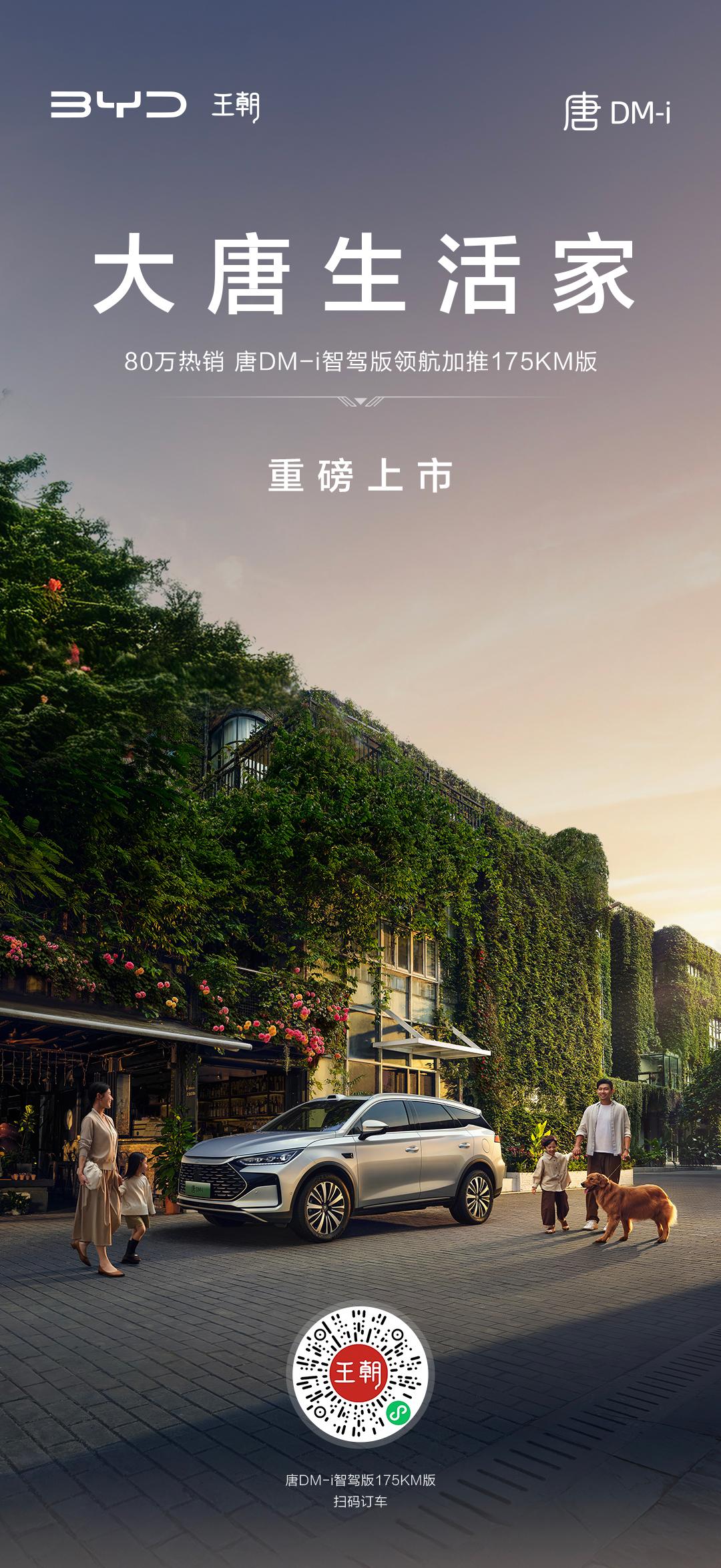 我只想打死各位，或者被在座的各位打死我是谁？我是唐DM-i智驾版175KM长