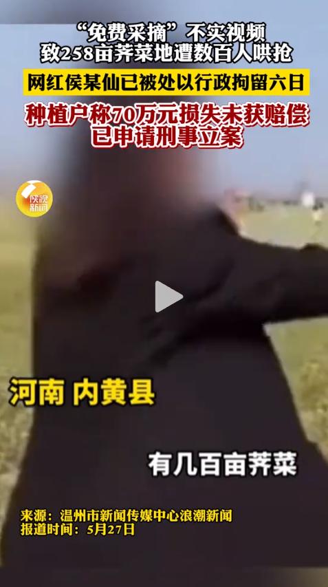 “我只是实话实说”河南内黄县，一名网红直播说“荠菜免费摘”，结果200多亩菜地