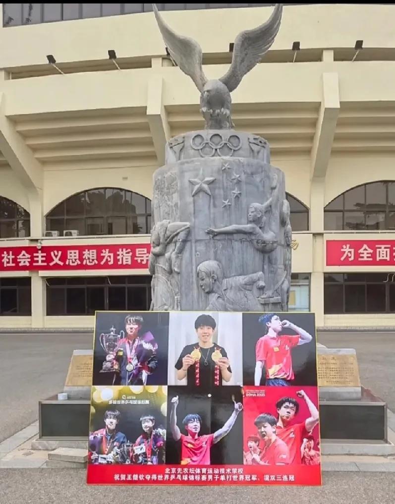 先农坛也很为大头自豪吧！毕竟是第一位左手冠军，史无前例，并且还是混双三连冠