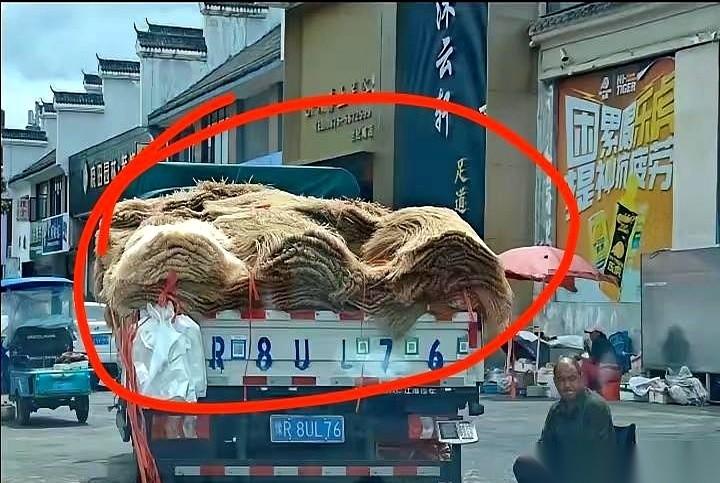 山东街头，一辆破旧的三轮车，直接把我钉在了原地。车上架着一口大铁锅，锅里是满满