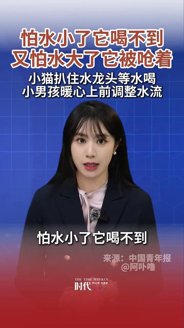 小猫扒住水龙头等水喝，小男孩暖心上前调整水流。时代周报主播子裕。被这样的普通