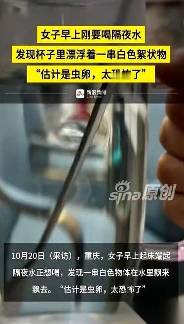 真的,就差那么一秒。我可能就把一整杯的虫卵,咕咚咕咚喝进肚子里了。就是那种前