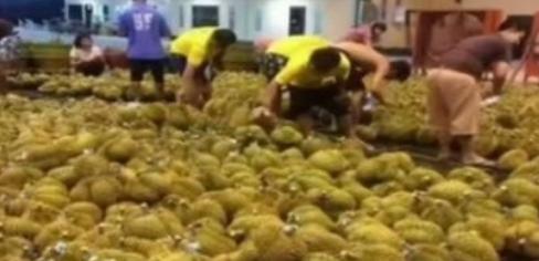 水果卖不出了，才想起中国市场有多重要？当初得罪咱们时没想过今天？现在后悔可晚了，