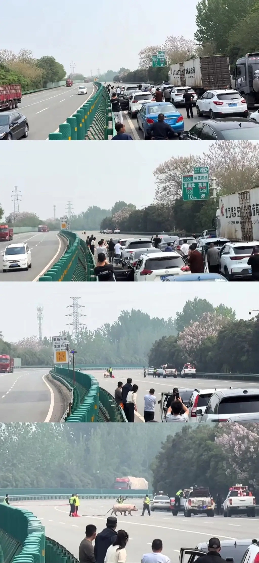 车若初见堵车的尽头，总有一些奇葩原因