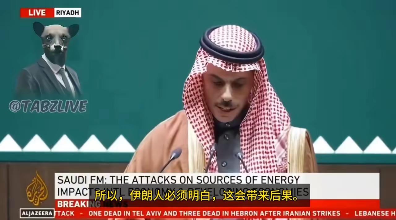 沙特很生气，后果很严重。沙特外长在记者会上直截了当：沙特的忍耐性是有限度的，如