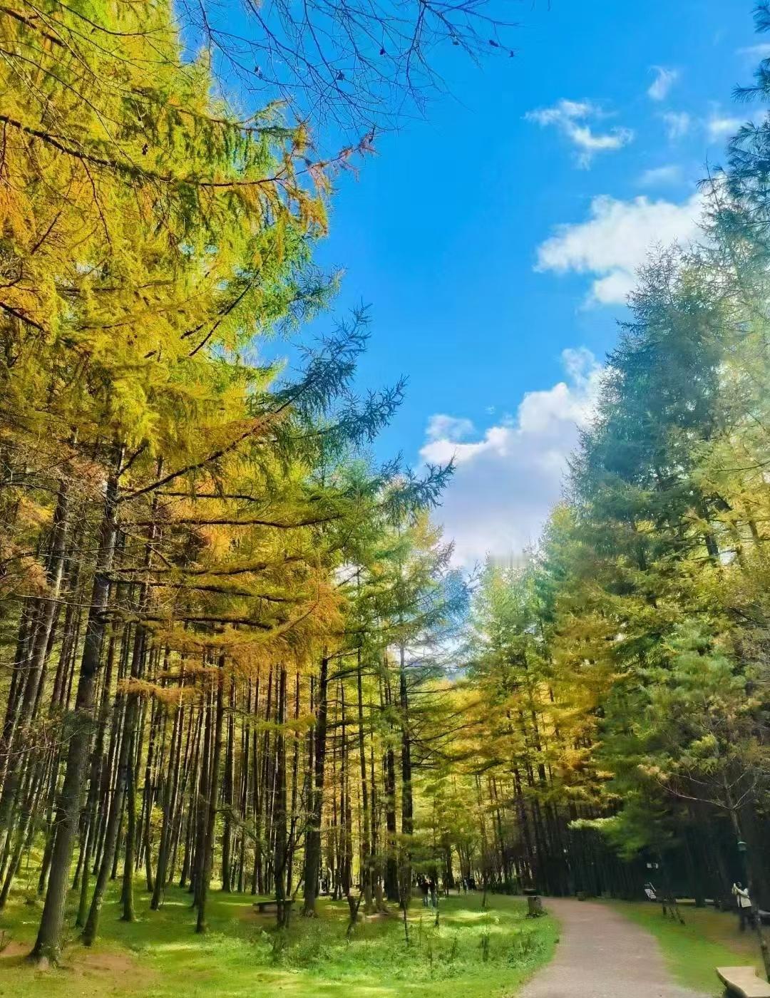 养老金越涨，差距反而越大了。同样是涨钱，有人多了几十块，有人多了几百块。