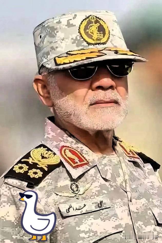 伊朗军方放狠话，5月8日，今天一大早，伊朗陆军总司令哈塔米直接放狠话了，说美