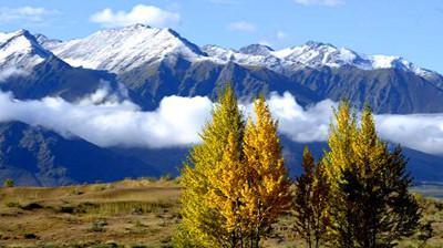 1975年4月，在黑龙江东宁蝇子沟有惊人发现。当时知青小李刨冻土时磕到青石板，撬