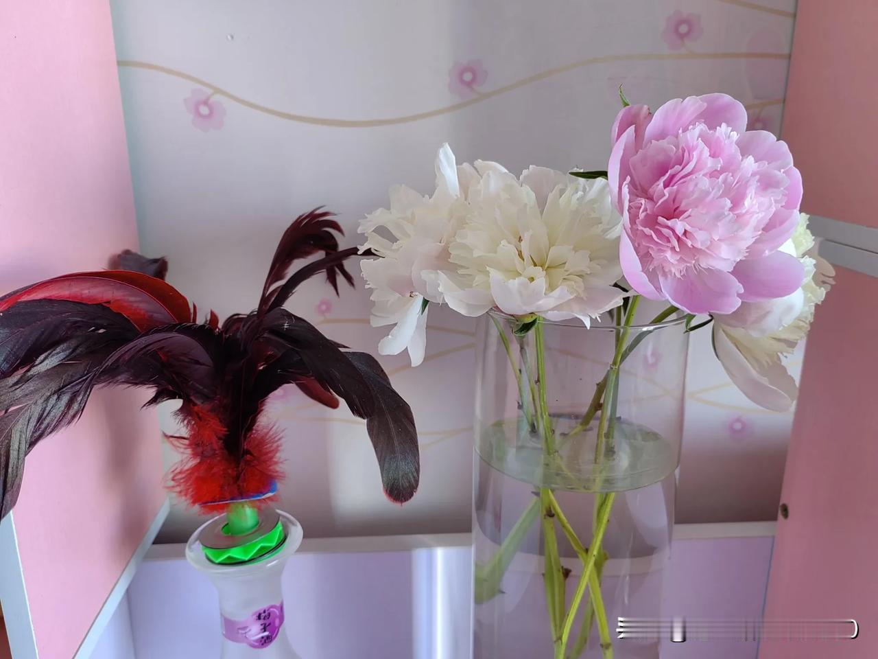 昨天趁着五一劳动节的热度去订了一款油烟机心里想着买房的时候原房东给带的那个