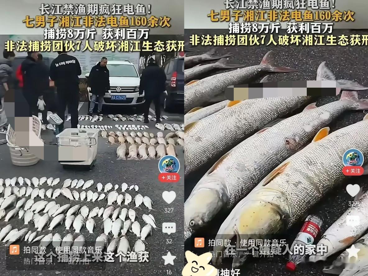 七个人夜里开着改装小船，把高压电杆伸进湘江，一通电下去鱼成片翻肚，两年捞了八