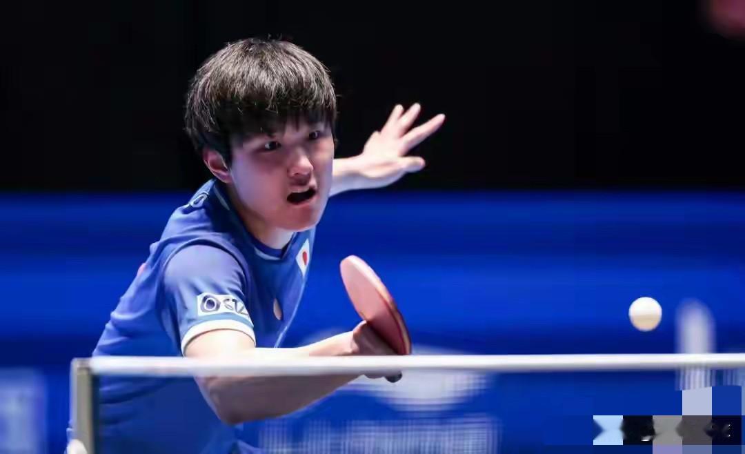 本届亚洲杯：张本智和3个动作“很反常”！第一件事，悄悄进入比赛场地，没有