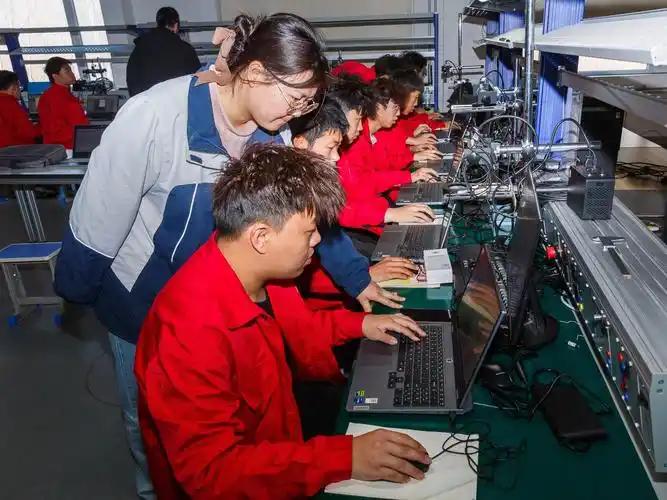 一个反常现象出现了：年轻人花四年时间、十几万学费拿个本科学历，毕业却要再花钱去学