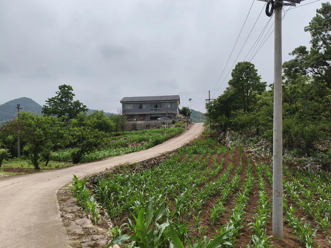 中小学教师：感恩工资改革一，那时我们的教龄工资最高十元，现将教龄工资改为薪级工