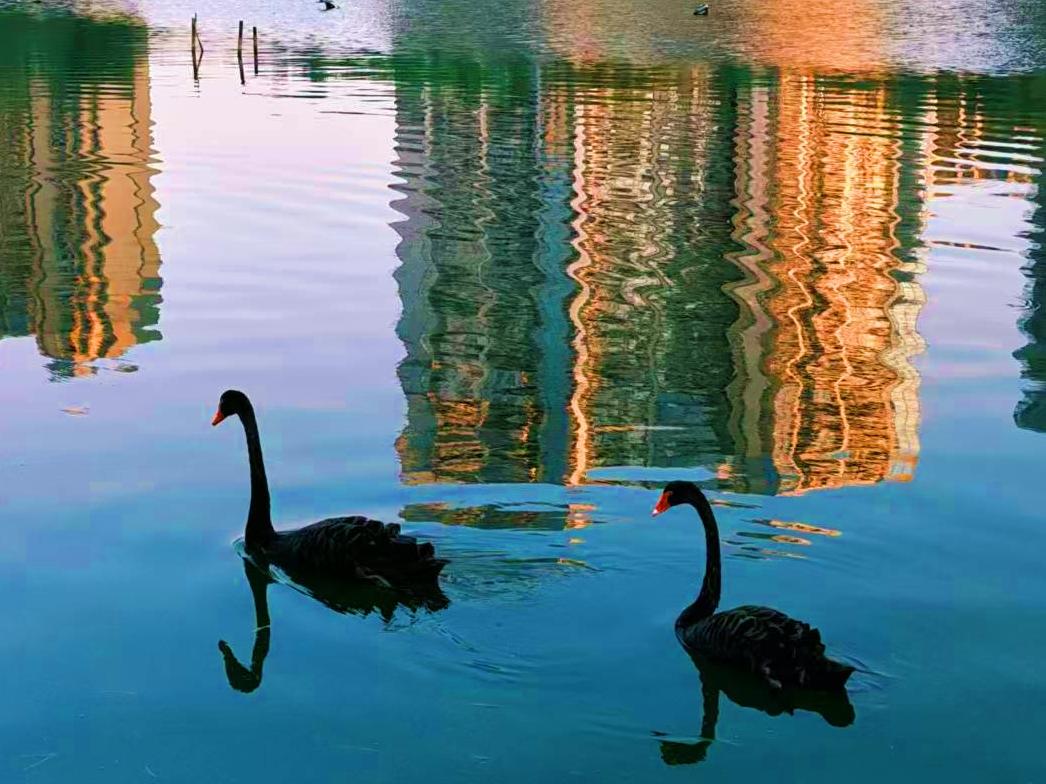 公园美丽景随拍