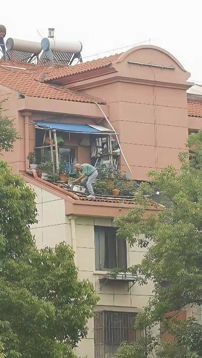大爷这花是非养不可吗？