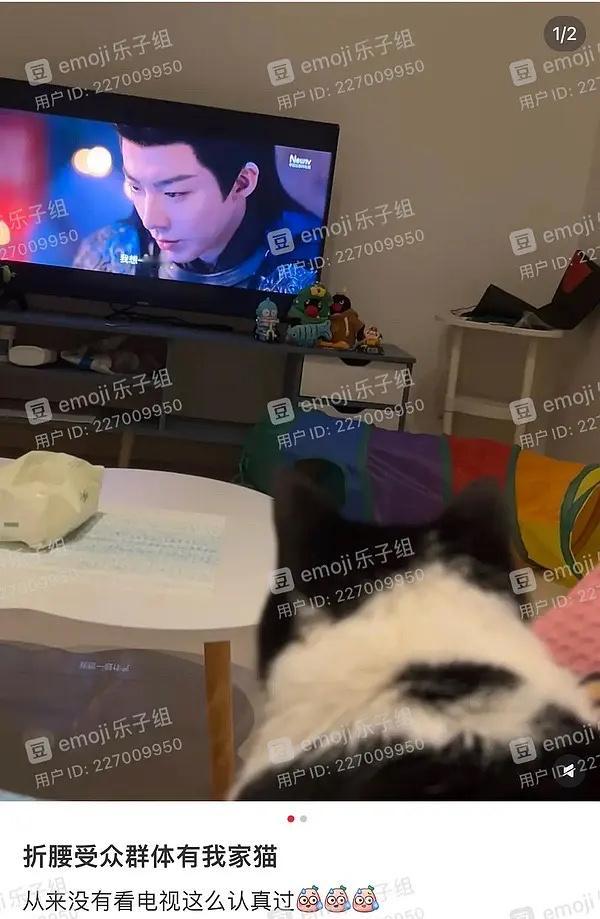 这个折腰我不行了​​​