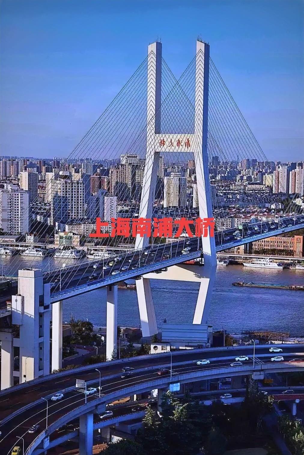 真心建议陈馆长多在内地溜达溜达。顺便看看苏州的留园，杭州的西湖，南京的夫子庙，