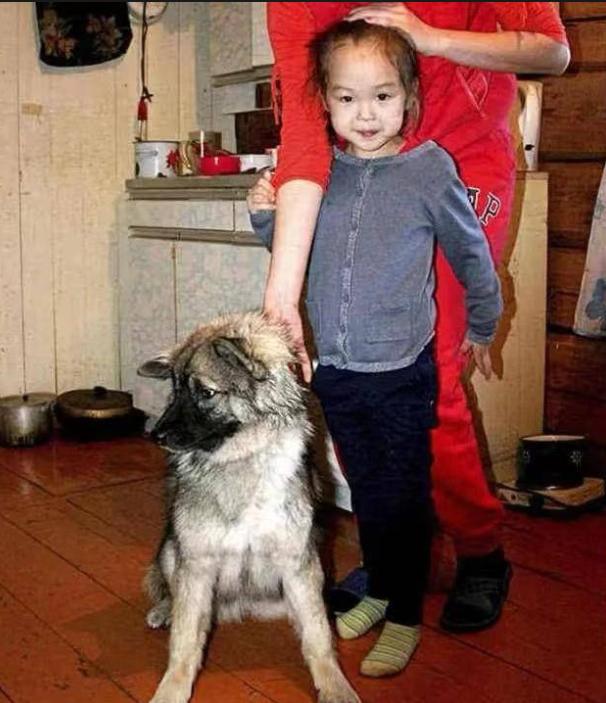 2014年，俄罗斯一3岁小女孩由于贪玩迷失于原始森林，救援队找了十多天都没能发现