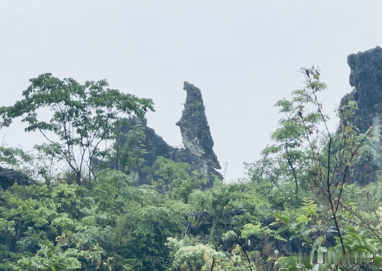 云南石林风光云南双乳峰风景区石林，凭你的想象，看它们都像什么、有什么故事。