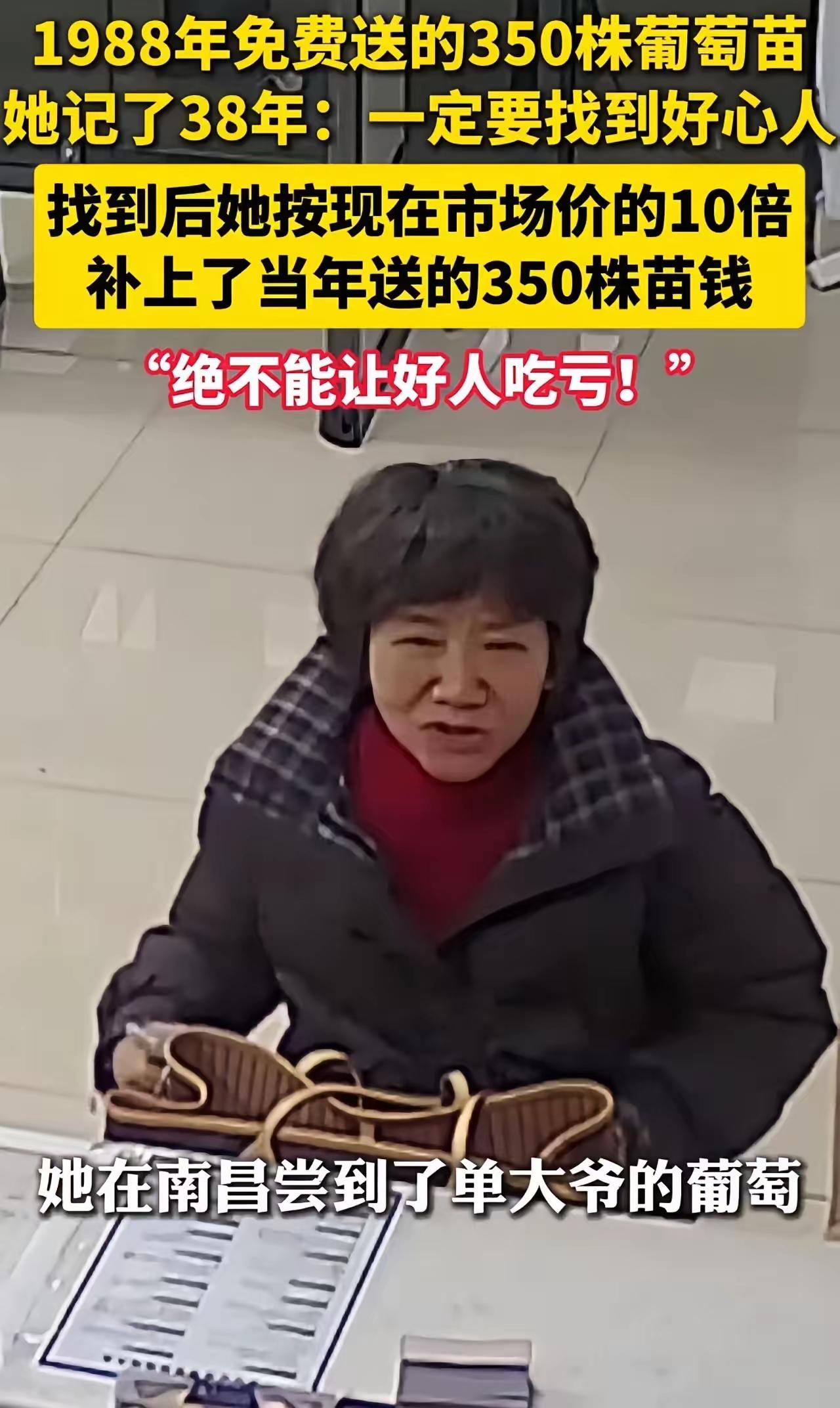 38年念念不忘！江西阿姨跨越千里赴浙江，用十倍“天价”偿还1988年那350株救