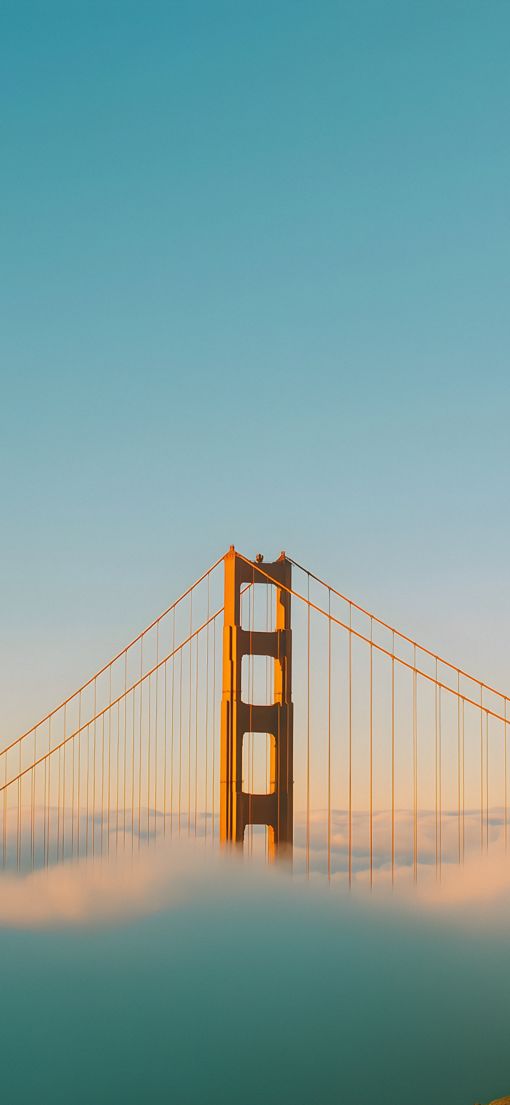 莱分享今日iPhone壁纸分享