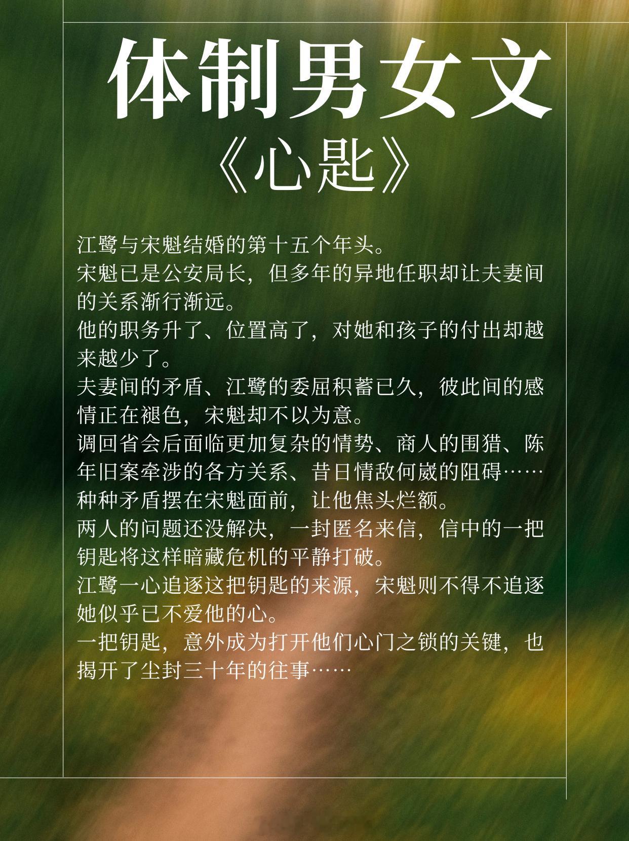 体制男女文，菜鸟小职员vs运筹帷幄男主，高干那些事儿！1、《心匙》作者:燕山金吾