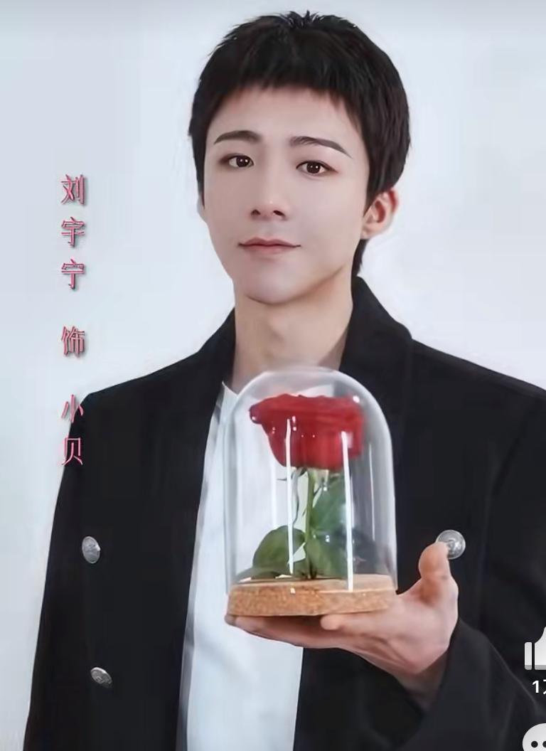 刘宇宁的颜值很神奇乍一看，他真的不帅，可就是莫名其妙特别吸粉。就拿《玫瑰丛生