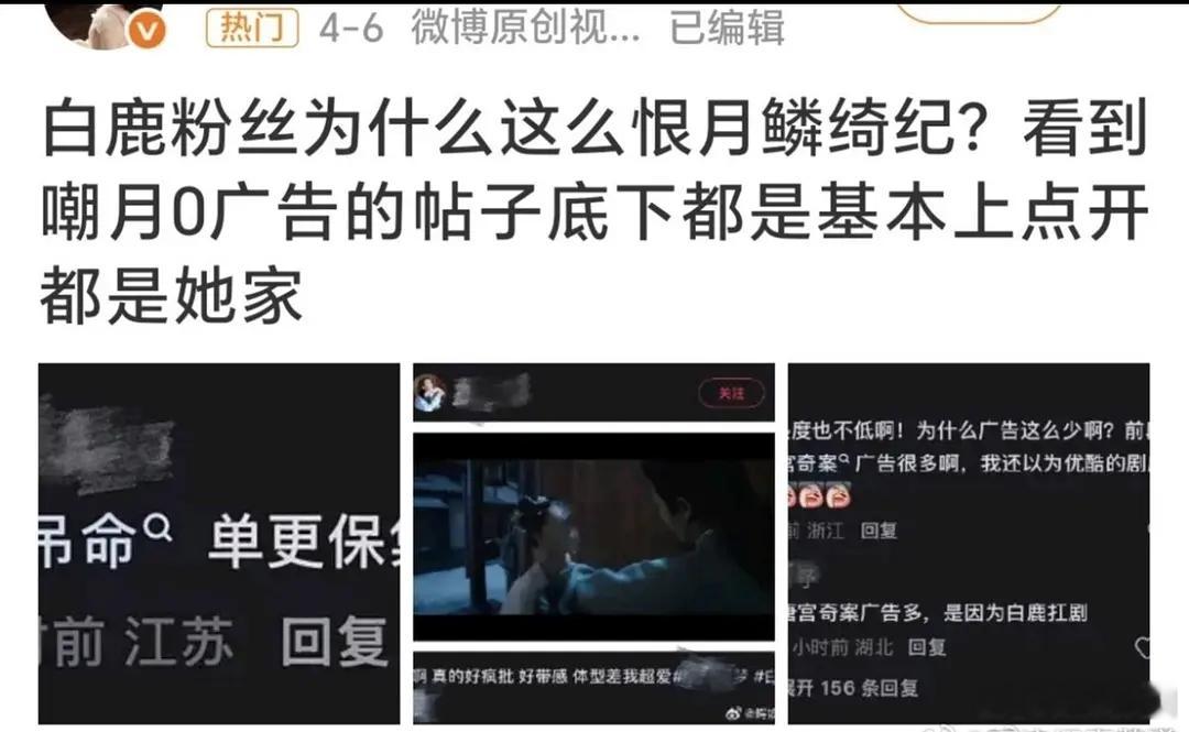 白鹿怎么和鞠婧祎的电视剧扯上关系了？