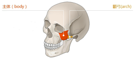 整治你的大饼脸—颧骨颧弓手术方式概述