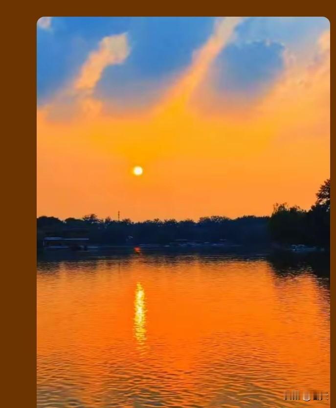 叶之语春风里，新叶怯生生探出头，染绿枝丫；夏阳下，叶片舒展成伞，筛落斑驳光