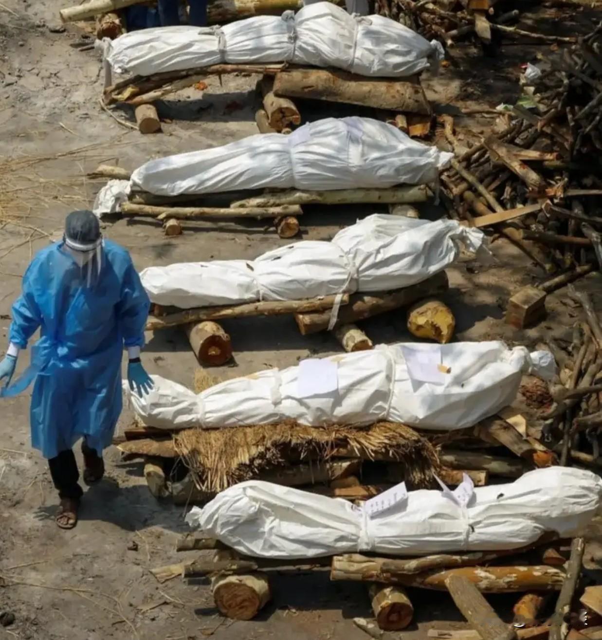 泰国全面筛查来自尼帕病毒风险区航班历史总是惊人的相似事出反常必有妖！