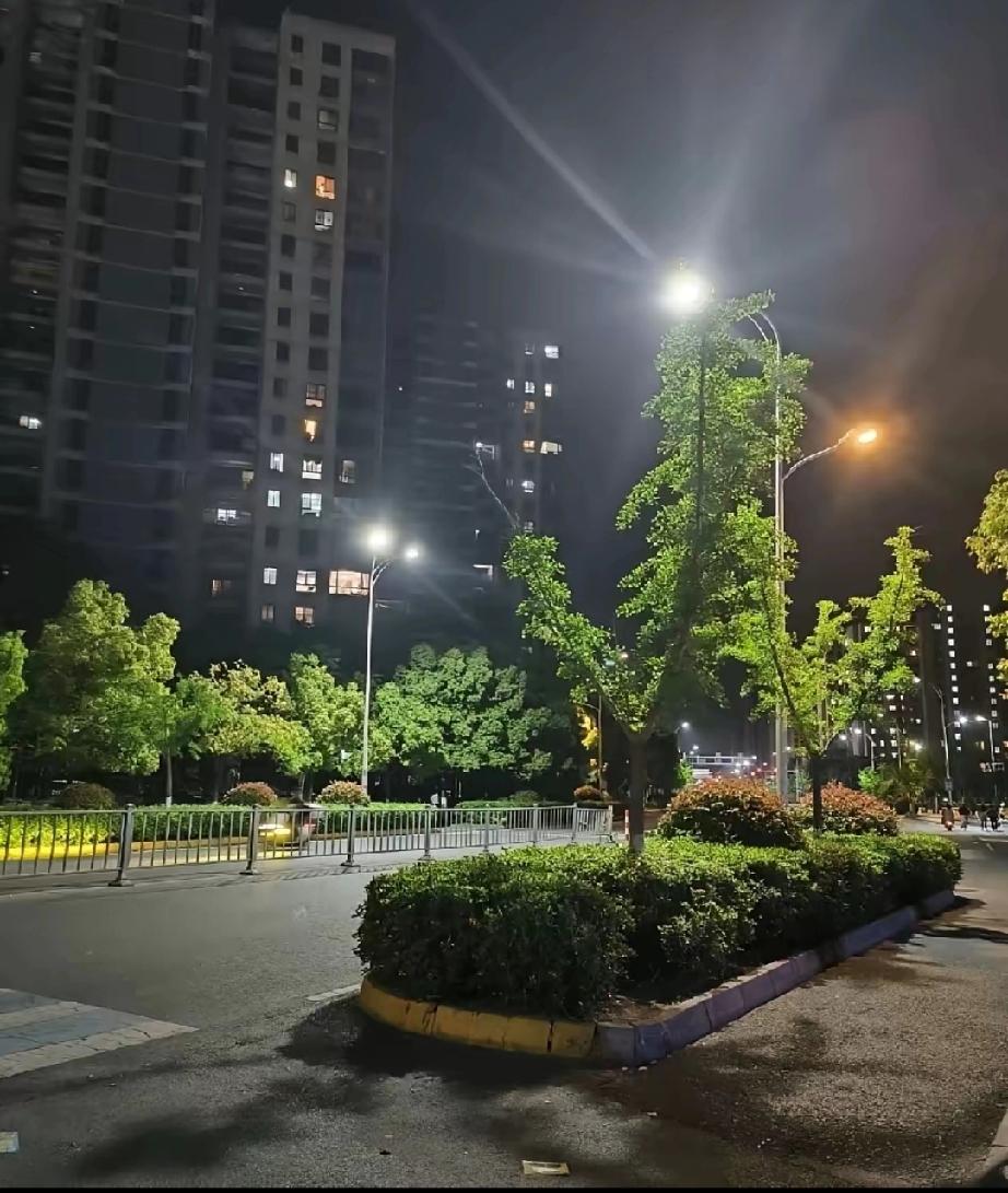 下班路上，我遇到了一个让我心口发紧的场景——一个浑身是血的女人抱着同样满是血的小