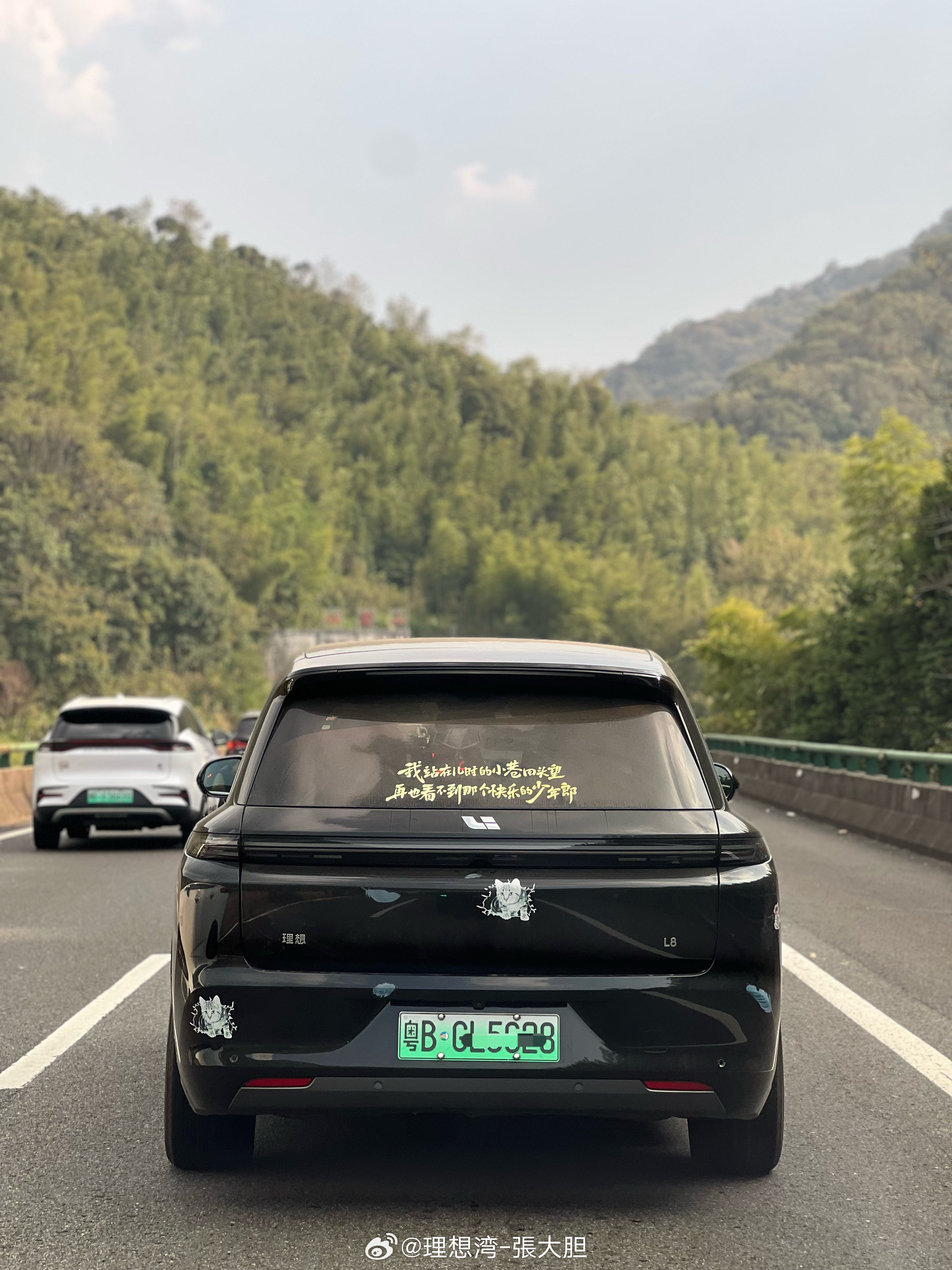 [哭哭][哭哭]看到理想车友们不开前后星环灯，是真的绷不住！一点都不帅！理想汽车