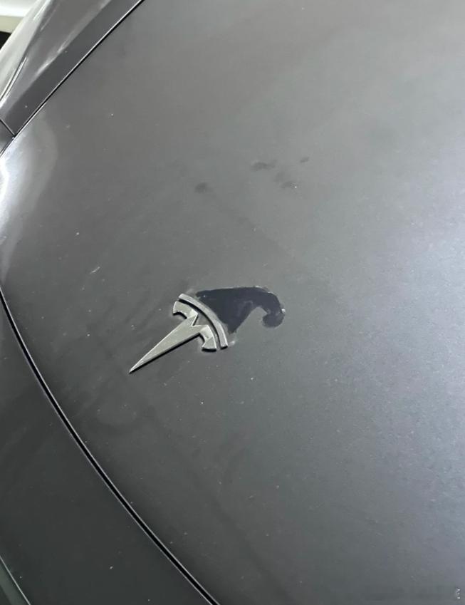 特斯拉零成本圣诞帽！