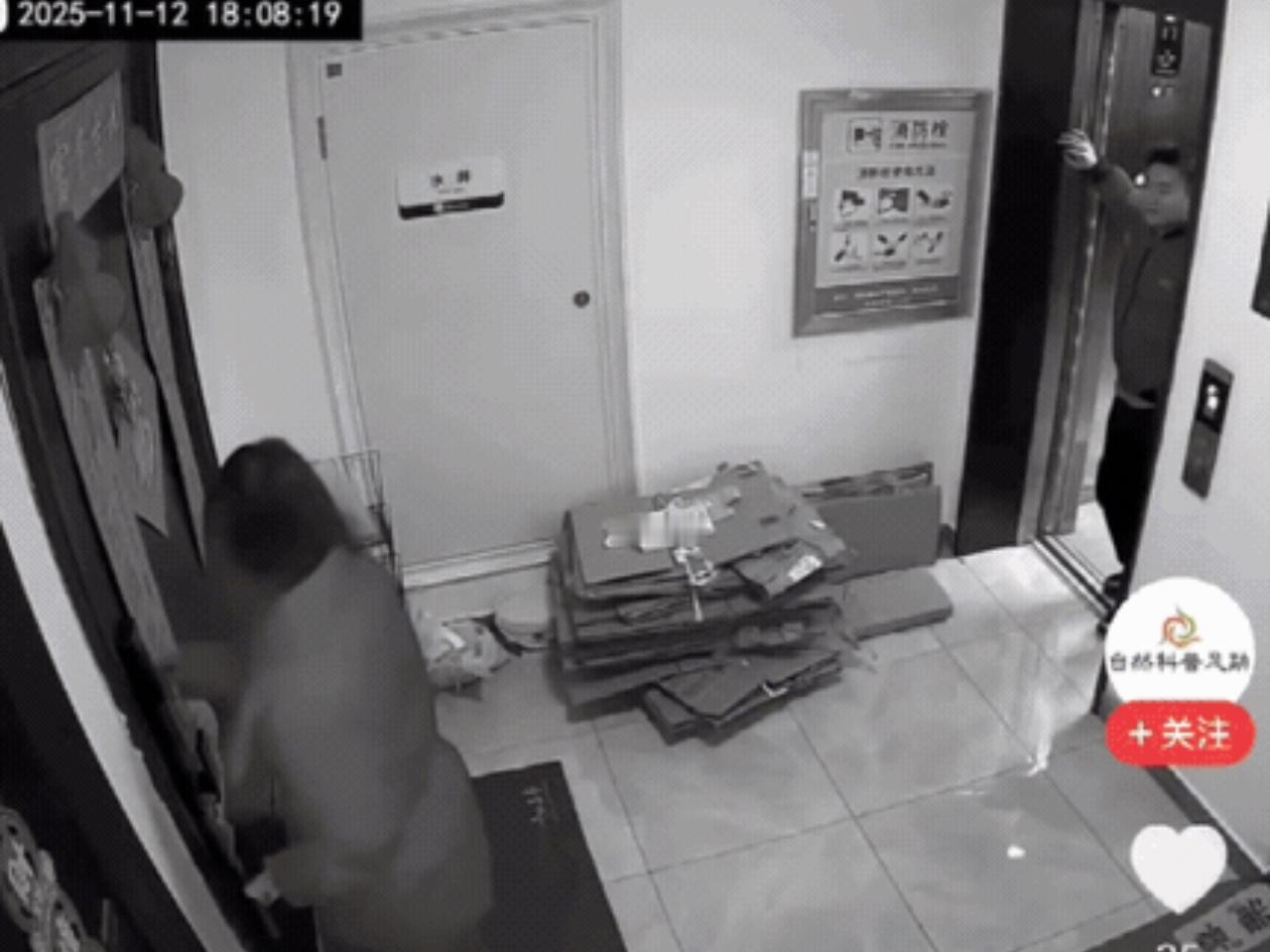 女生晚上独自回家,发现后面有个陌生男子一直跟着,进电梯也跟进来,电梯里就他俩,男