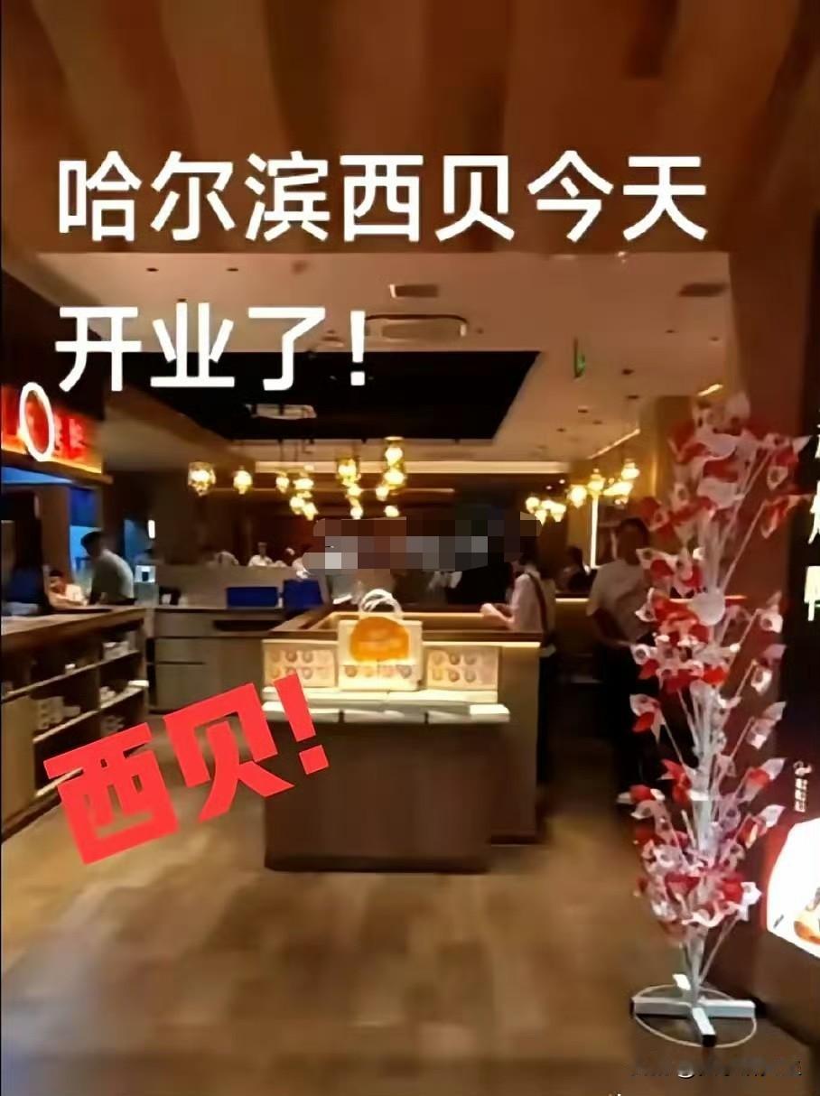 哈尔滨西贝加盟商，这几天怕是难熬了。哈尔滨首家西贝门店刚筹备得差不多，就撞上