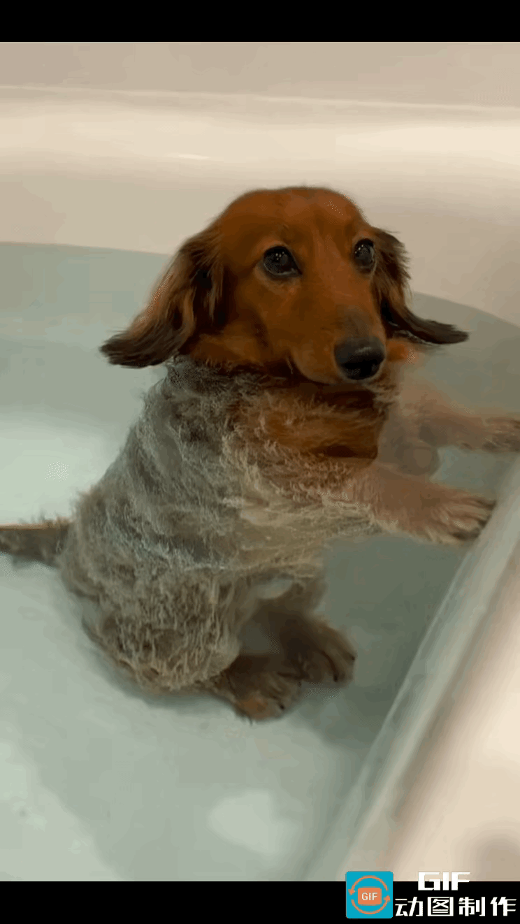 下次放屁记得憋大点泡呀～