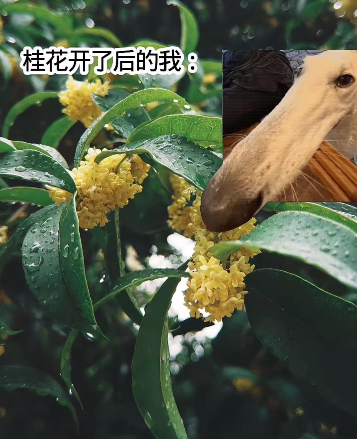 每年这个时候的我：​​​