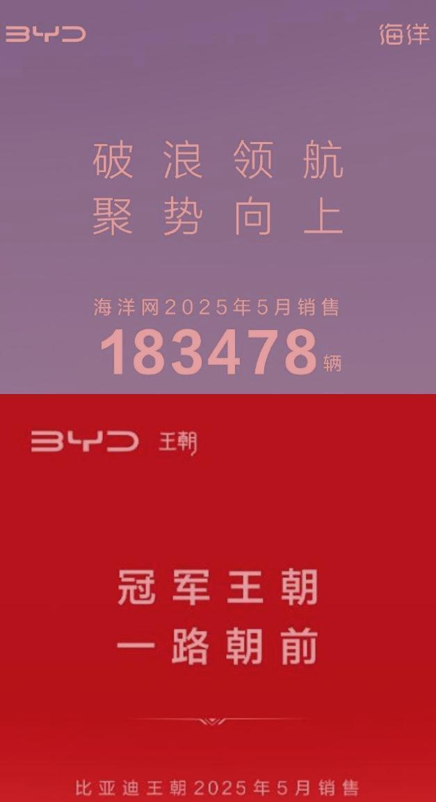 当王传福把比亚迪的176万和1230万销量数据拿出来的时候，谣言已经不攻自破。局