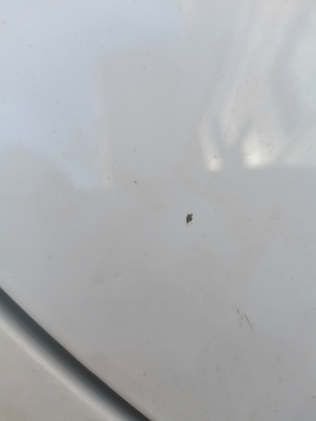 22款威朗pro车漆大神们，你们有没有发现威朗pro车漆没有底腻子，直接是面漆